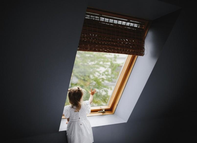 velux